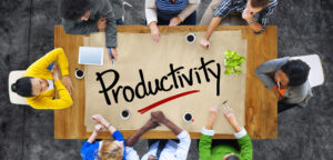 Productivity and Profitability 01